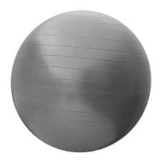 Sportvida  Gymnastický míč fitness joga gym ball 55 cm