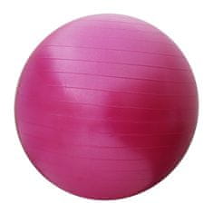 Sportvida Gymnastický míč fitness joga gym ball 55 cm