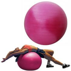 Sportvida Gymnastický míč fitness joga gym ball 55 cm