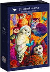 Blue Bird Puzzle Barevné sovy