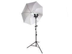 MASSA Profi fotostudio set blesk sada 2x125W 1200W 5500K