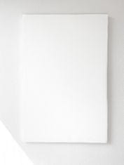 CanvasPro Malířské plátno napnuté na rámu 30x30cm 360 g/m2