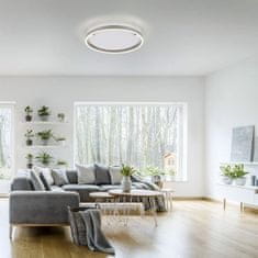 PAUL NEUHAUS LEUCHTEN DIREKT is JUST LIGHT LED stropní svítidlo, hliník, kruhové, pr.40cm, stmívatelné, Switchmo, teplá bílá krokově stmívatelné 3000K