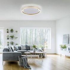 PAUL NEUHAUS LEUCHTEN DIREKT is JUST LIGHT LED stropní svítidlo, matná mosaz, kruhové pr.60cm, stmívatelné, Switchmo, teplá bílá krokově stmívatelné 3000K