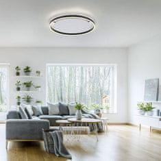 PAUL NEUHAUS LEUCHTEN DIREKT is JUST LIGHT LED stropní svítidlo antracit, kruhové, pr.60cm, stmívatelné, Switchmo, teplá bílá krokově stmívatelné 3000K