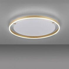 PAUL NEUHAUS LEUCHTEN DIREKT is JUST LIGHT LED stropní svítidlo, matná mosaz, kruhové pr.60cm, stmívatelné, Switchmo, teplá bílá krokově stmívatelné 3000K