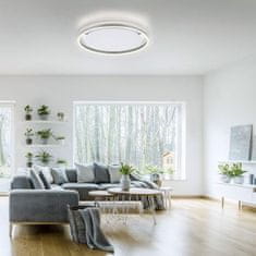 PAUL NEUHAUS LEUCHTEN DIREKT is JUST LIGHT LED stropní svítidlo, hliník, kruhové, pr.60cm, stmívatelné, Switchmo, teplá bílá krokově stmívatelné 3000K