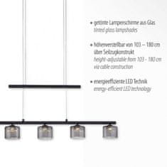 PAUL NEUHAUS PAUL NEUHAUS LED závěsné svítidlo, černá, 5 ramenné, nastavitelná výška, nad jídelní stůl 3000K