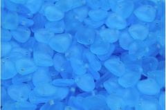 Kraftika 50 ks crystal aqua blue matte petal české skleněné vločky