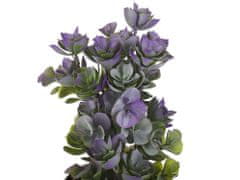 Beliani Umělá rostlina v květináči 31 cm HOUSELEEK PLANT