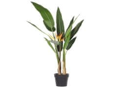 Beliani Umělá rostilina v květináči 115 cm STRELITZIA TREE