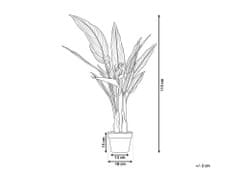 Beliani Umělá rostilina v květináči 115 cm STRELITZIA TREE