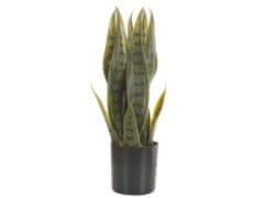 Beliani Umělá rostlina v květináči 40 cm SNAKE PLANT