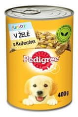 Pedigree konzerva Junior kuřecí v želé 400g