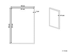 Beliani Zarámovaný obraz na plátně lev 63 x 93 cm vícebarevný MARRADI