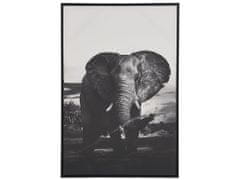 Beliani Zarámovaný obraz na plátně slon 63 x 93 cm šedý NIBBIA