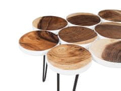 Beliani Dřevěný stolek TIJUANA