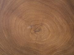 Beliani Dřevěný stolek na kávu ve tvaru kmenu GORDON