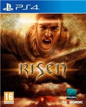 THQ Nordic Risen (PS4)