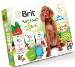 Brit EU made snacks puppy box