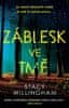 Stacy Willingham: Záblesk ve tmě