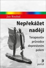 Jan Roubal: Nepřekážet naději - Terapeutův průvodce depresivním polem