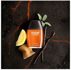 Drakkar Intense - EDP 100 ml