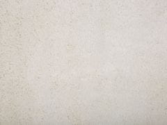 Beliani Koberec bílý 80 x 150 cm Shaggy EVREN