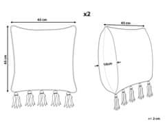Beliani Sada 2 bavlněných polštářů s geometrickým vzorem a střapci 45 x 45 cm béžová/černá SAMBUCUS