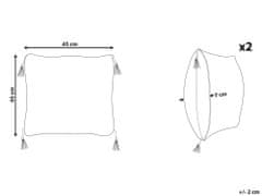 Beliani Sada 2 dekorativních polštářů s geometrickým vzorem 45 x 45 cm černobílá LIRIOPE