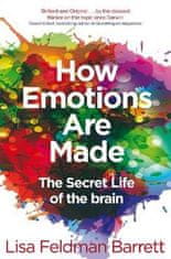 Lisa Feldman Barrett: How Emotions Are Made - The Secret Life of the Brain