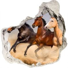 Wallmuralia Díra 3D foto tapeta nálepka Koně ve cvalu 100x100 cm