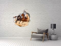 Wallmuralia Díra 3D foto tapeta nálepka Koně ve cvalu 100x100 cm