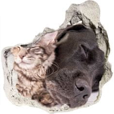 Wallmuralia Díra 3D foto tapeta nálepka Pes s kočkou 75x75 cm