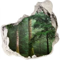 Wallmuralia Díra 3D foto tapeta nálepka Mlha v lese 75x75 cm