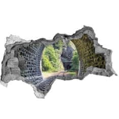 Wallmuralia Fototapeta díra na zeď 3D Železniční tunel 115x88 cm
