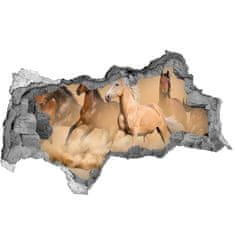 Wallmuralia Díra 3D foto tapeta nálepka Koně poušť 115x88 cm