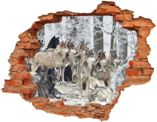 Wallmuralia Díra 3D fototapeta nástěnná Nálepka vlci zimou