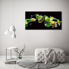 Wallmuralia Foto-obrah sklo tvrzené Limetka a citron 125x50 cm 2 úchytky