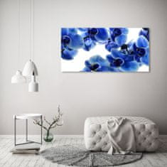 Wallmuralia Foto obraz sklo tvrzené Modrná orchidej 125x50 cm 4 úchytky