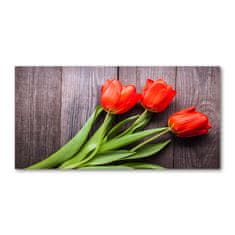 Wallmuralia Foto obraz fotografie na skle Červené tulipány 100x50 cm 2 úchytky