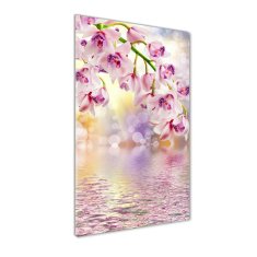 Wallmuralia Vertikální Foto-obrah sklo tvrzené Orchidej 70x100 cm 2 úchytky