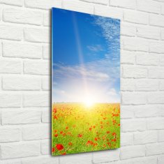 Wallmuralia Vertikální Foto obraz sklo tvrzené Pole máků 70x140 cm 4 úchytky