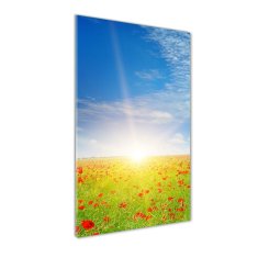 Wallmuralia Vertikální Foto obraz sklo tvrzené Pole máků 70x140 cm 4 úchytky