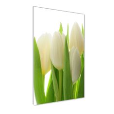 Wallmuralia Vertikální Foto obraz fotografie na skle Bílé tulipány 70x140 cm 4 úchytky