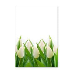 Wallmuralia Vertikální Foto obraz fotografie na skle Bílé tulipány 70x100 cm 2 úchytky