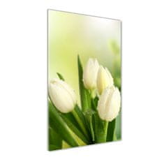 Wallmuralia Vertikální Foto obraz fotografie na skle Bílé tulipány 70x100 cm 4 úchytky