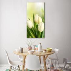 Wallmuralia Vertikální Foto obraz fotografie na skle Bílé tulipány 50x100 cm 2 úchytky