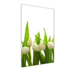 Wallmuralia Vertikální Foto obraz fotografie na skle Bílé tulipány 70x100 cm 4 úchytky