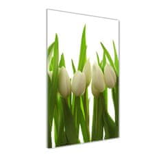 Wallmuralia Vertikální Foto obraz fotografie na skle Bílé tulipány 50x125 cm 2 úchytky